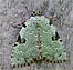 Green Leuconycta (Leuconycta dipthteroides) 7/19/07